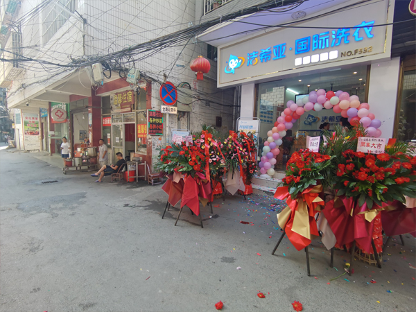 靠洁希亚影响力，新手创业甩掉负担，驶向创业新旅途